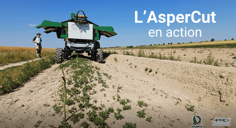 Robot_récolte_asperges_automatisée par ia