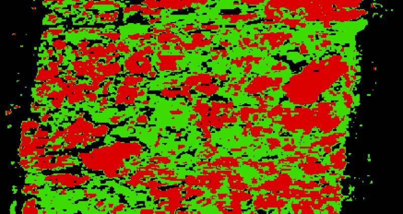 Détection de pollution dans du terreau