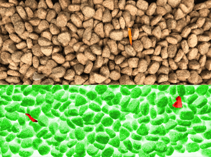 Mise en évidence de morceaux plastiques dans des croquettes par système de vision avec caméra hyperspectrale