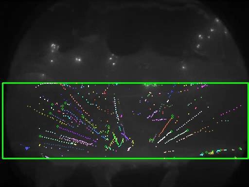 COMPUTER VISION (hors industrie)