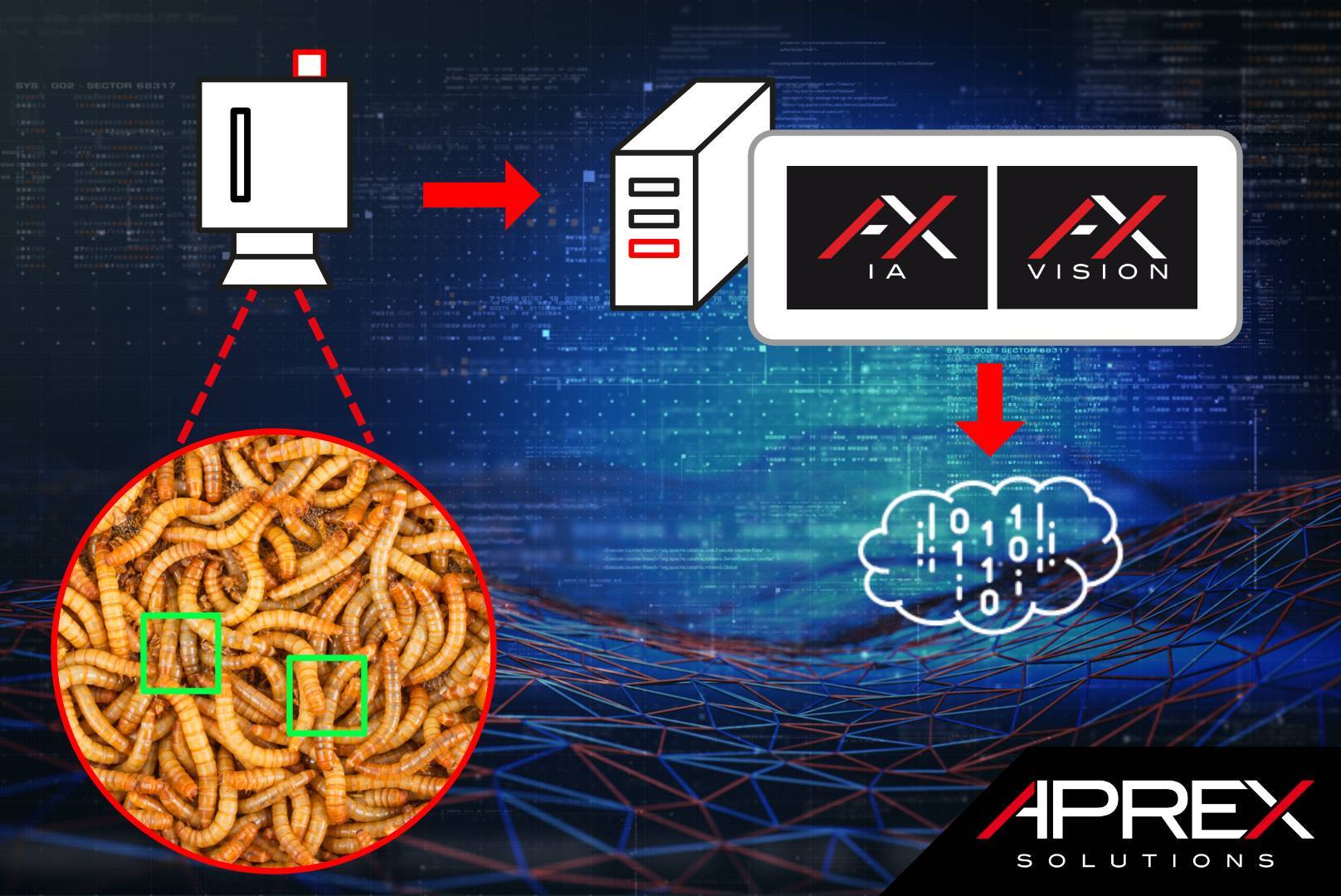 APREX Solutions apporte son expertise en vision industrielle&nbsp;pour les projets R&amp;D d&rsquo;&Yuml;nsect, acteur majeur de l&rsquo;Agritech.